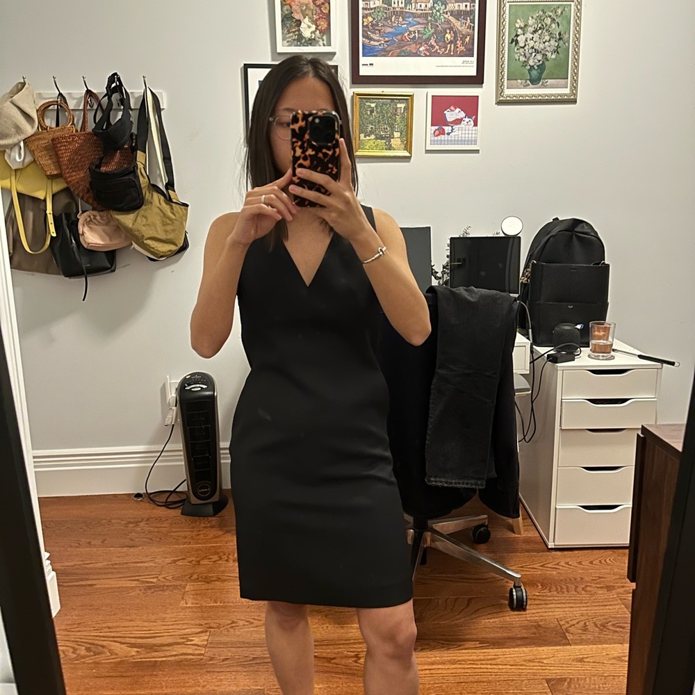 ARITZIA V NECK DRESS